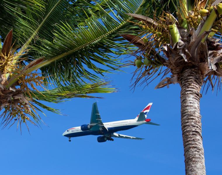Vliegtuig met palmbomen